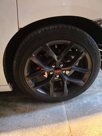 ويل 20 امريكي اصلي كفاله من الزلغ مراوس بويل جارجر 18 17 07783863846