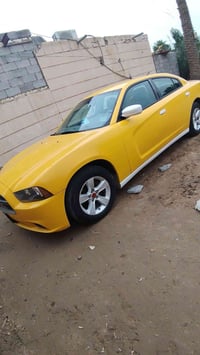 مرخصة • المدير • للبيع