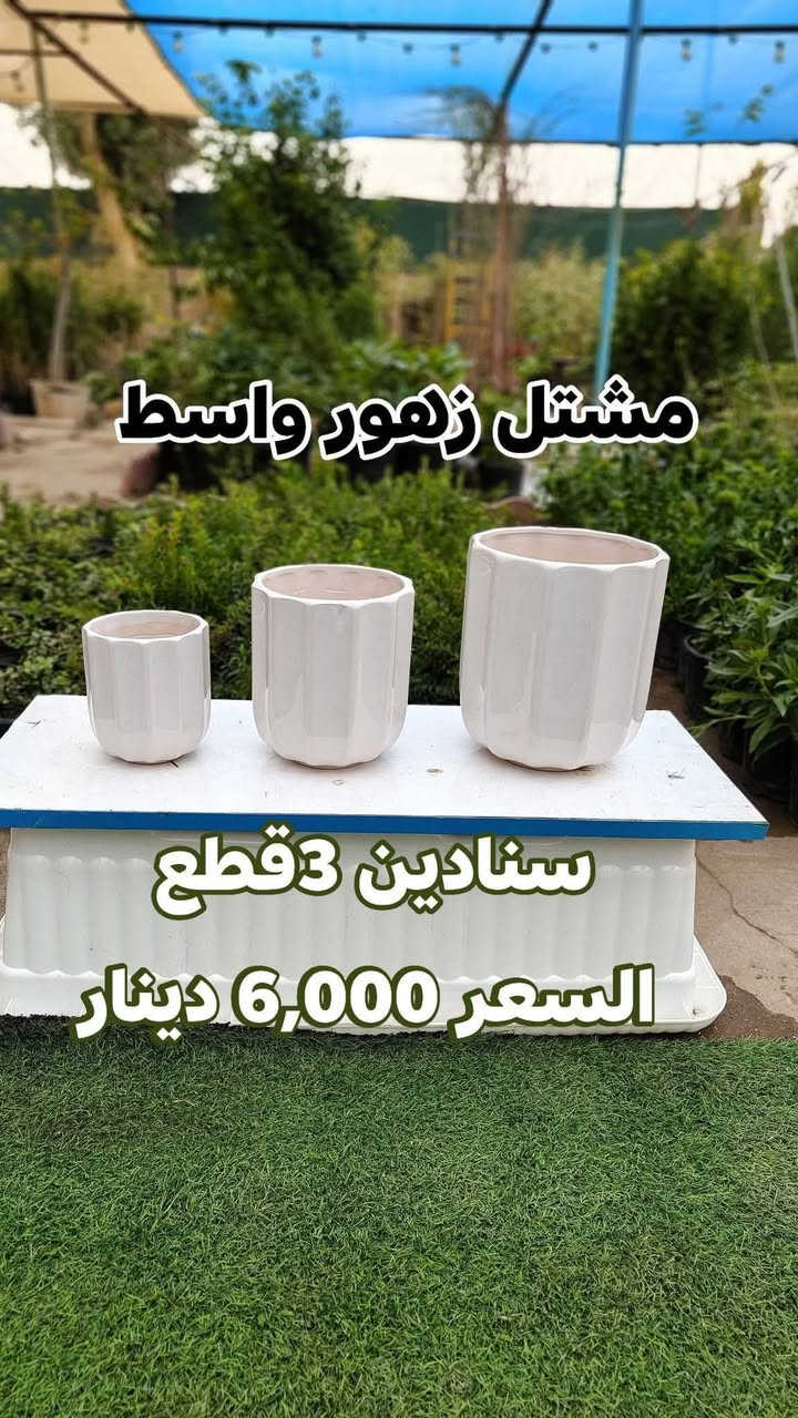 تخفيضات على السنادين السيراميك الايراني والدوارق أهلا وسهلا بيكم مشتل زهور واسط
يفتح المشتل طيله ايام الاسبوع من الساعه 8:00 صباحا والى الساعه 7:00 ليلآ 🌃 

#مشتل_زهور_واسط العنوان كوت فلكه الحاوي شارع مجمع دمشق الطبي مقابل ابتدائية الكوت للتعليم الأساسي #يوجد_توصيل_داخل_الكوت

*********** لطلب والاستفسار واتساب  او مراسله الصفحه الشخيصه بلال الواسطي🌹😊
