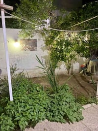 كربلاء طويريج • ١٢٥م • طابو ملك صرف