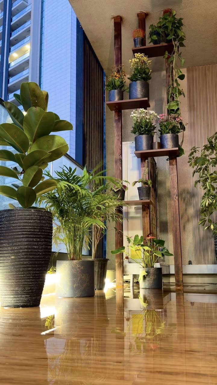 ترتيب بلكونة 🌿🌲🌻🌺
للفائده هذه الصفحة مختصه بترتيب البالكونات وعمل جلسات خارجيه مرتبه من 

1-تغليف أرضيه 
2-تغليف جدران
3-طاوله وكراسي 
4-انارة مخفيه
5-نباتات خارجيه وضليه
6-رفوف وقواطع
7-مبردات خارجيه

ترتيب البلكونه حسب الطلب وباسعااار مناسبه جداً

للتواصل ***********
صفحة الانستغرام thebalcony.iq

https://www.instagram.com/thebalcony.iq?igsh=M3hmaHBlZmcyZ3li
