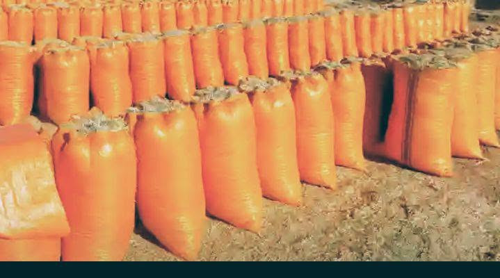 السلام عليكم يوجد الدينا تبن راس كوم بسعر مناسب الزوج ب3000 حجم الكونية 60 توصيل مجاني الدجيل بلد السحاقي العذية تكريت خابر ودلل ***********
