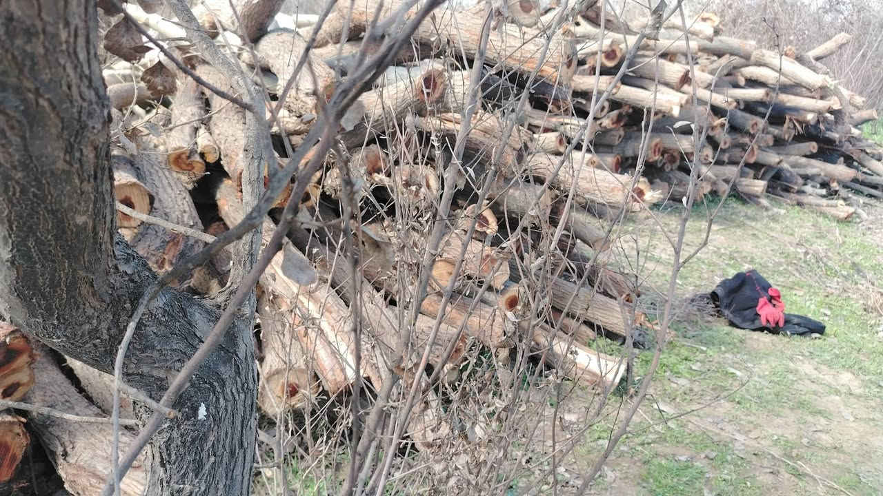 السلام عليكم
يوجد خشب كرامي حمل كنتره
المكان اسديره
الاتصال +9647827672793


**إذا كنت صاحب هذا الإعلان وتريد حذفه لأي سبب، رجاءا أرسل رسالة إلى الدعم الفني**