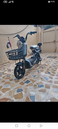 ريان • حجم ١٤ • اسيا