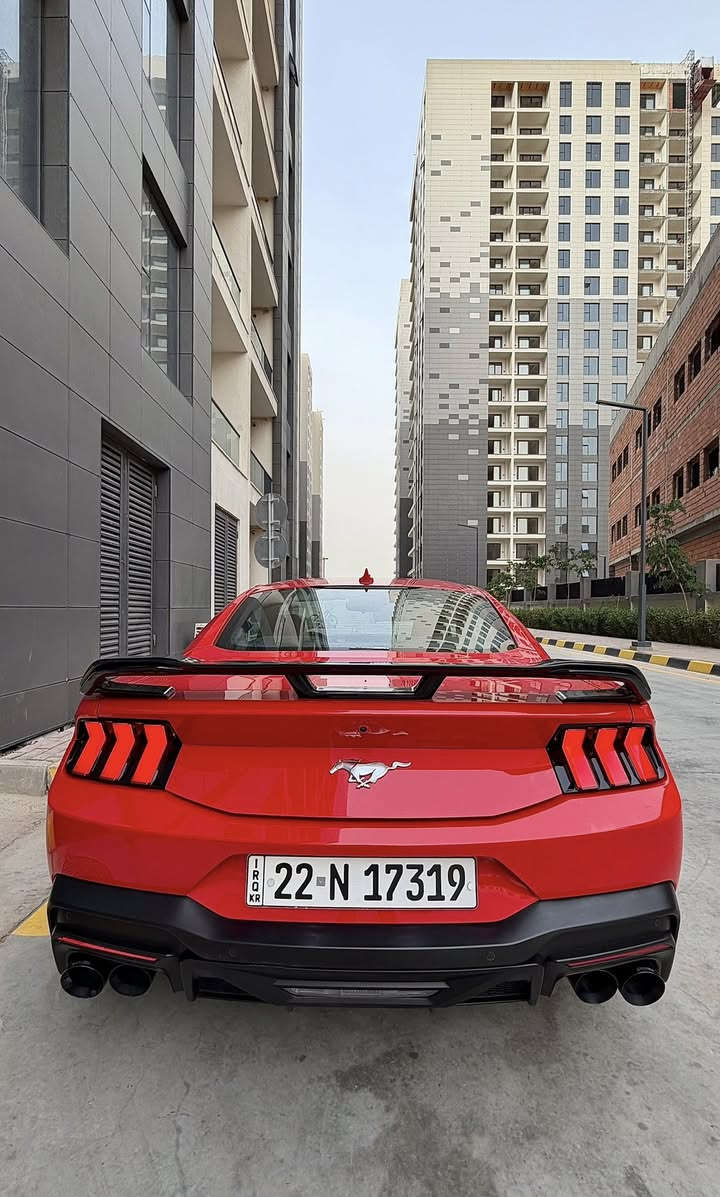 للبيع Ford mustang 2024
المحرك / ecoboost 2.3 turbo 🚀

‎مواصفات شاشة كبيرة . گيجات ديجتال متعددة الاشكال . انظمة القيادة normal , sport , slippery , drag strip , track , custom  
رادارات امامي جانبي . كاميرا خلفية . حساسات خلفية . هاند بريك بصمة . اوتو هولد . تدفئة كشنات . مودات ستيرنك . تحكم بالوان الداخلية . كشن كهرباء . تحديد مسار + مستشعر . قيادة ذاتية . انارة LED . والخ
السيارة عليها لحية و دفيوزر و صالنصة كورسا اصلي وسبايدر جي تي  وكفرات مري  
وارد امريكي ماشية 26 الف 
حادثها جاملغ وبنيد جانبي خفيف بدون دواخل بدون شاصي راديترات بلادي 
السيارة نظيفة جداً وجاهزة 
السعر ٢٢٥ ورقة وبيها ومجال
للاستفسار / ***********

