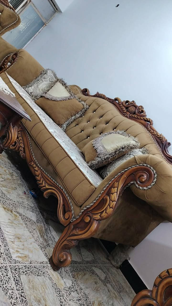 تخم زان تركي اخو الجديد عشر مقاعد للاستفسار *********** ب650
