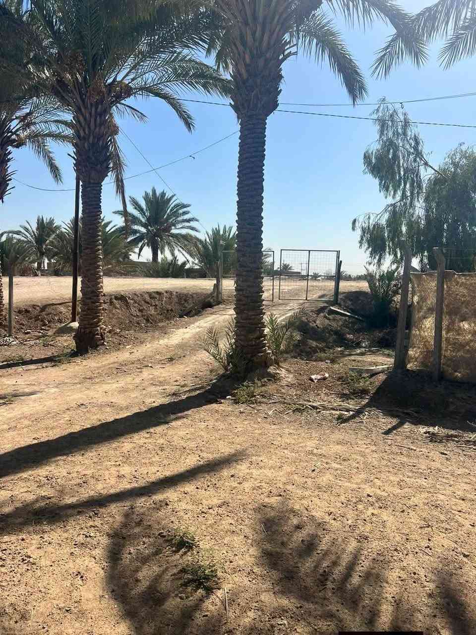 الاستفسار أكثر الاتصال على الرقم
***********
