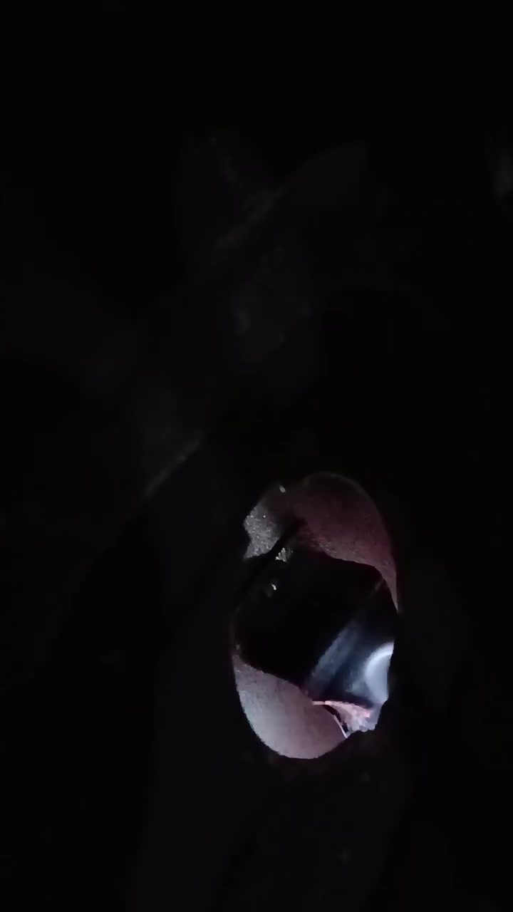 طباخ گريازي مصري كلش نضيف سعر٢٥٠مكان رحمانية الشعلة واكوتوصيل


**إذا كنت صاحب هذا الإعلان وتريد حذفه لأي سبب، رجاءا أرسل رسالة إلى الدعم الفني**