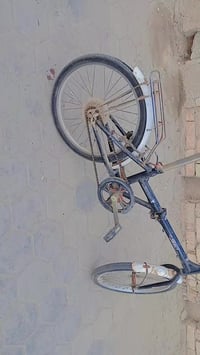 باسكل تكسي • حجم ٢٠ • قفل