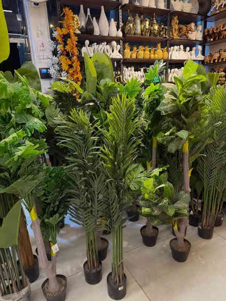 الأشجار الاصطناعية المقاربة للحقيقي 

لتجعل منزلك اجمل تابع كادو سنتر 

اهلا وسهلا بيكم زبائن كادو سنتر 

موجودين يوميا من الساعة ١٠ صباحا الى ١٢ ليلا

موجود توصيل جميع المحافظات ٥ الاف

العراق_ النجف المدينة المائية مقابل مستشفى الحياة 
***********
