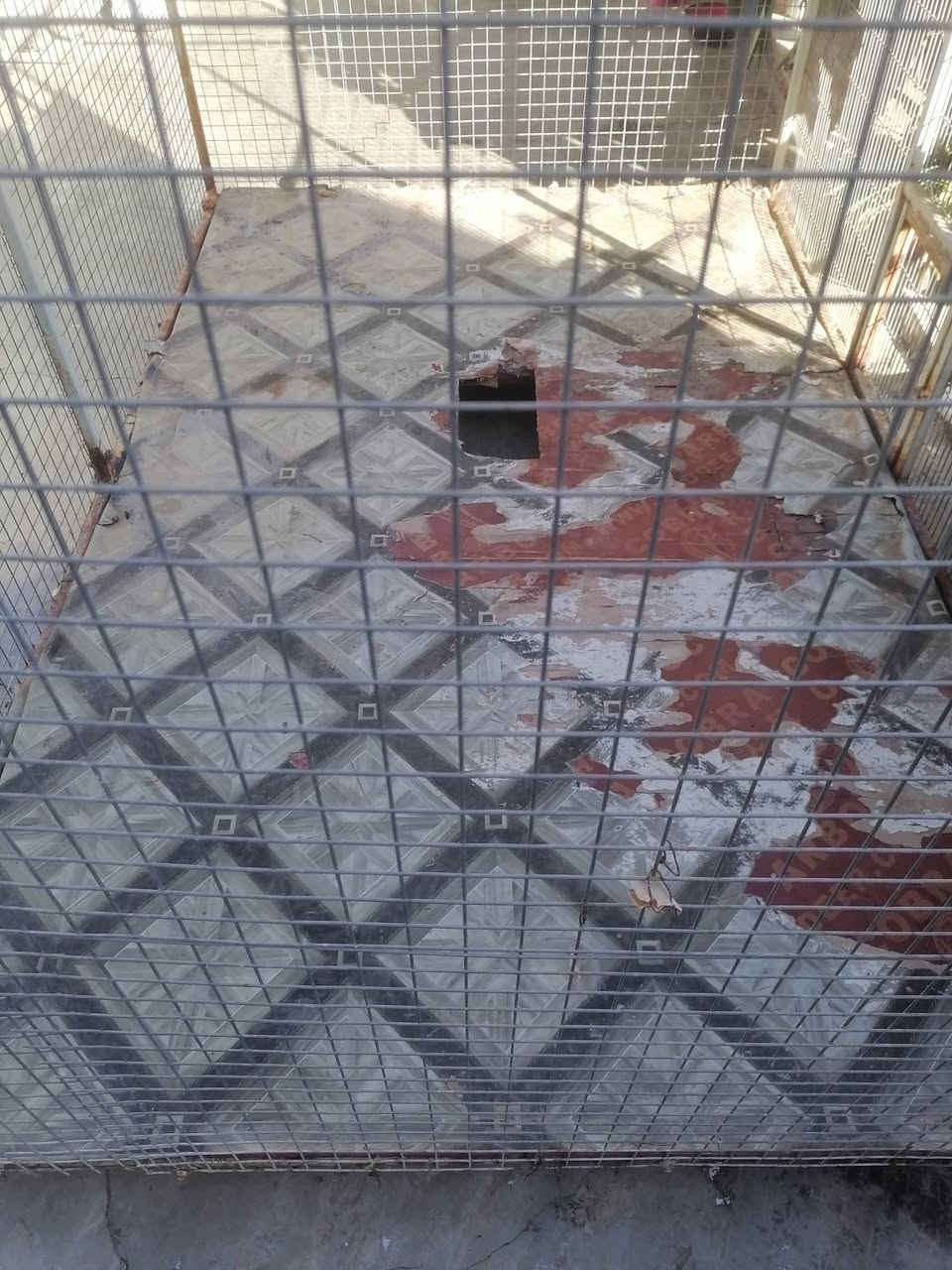 سلام عليكم متاح قفص كوكتيل وغنادير شغل درجه اولى بي شويه ترتيب تبديل لوح الأرضيه مثل ماموضح بالصوره والباب فقط المشبك يحتاج لحيم المساحه واجهه مترين داخل مترونص ارتفاع اكثر من مترين السعر قفلها ٦٥  ألف العنوان حي الوحده خلف جامع الوحده مباشرة *********** كلشي اكو بالسوگ ماعجبك السعر ارفع المنشور بكلمة يا الله ورحم الله والديك
