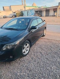 كورولا بيكاشو • ٢٠١٠ • أربيل خبات