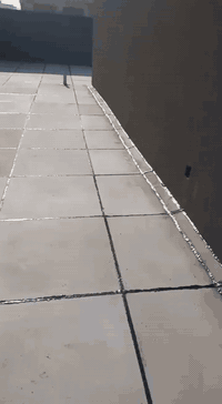 شتايكر • تصميم شتايكر • طباعة شتايكر