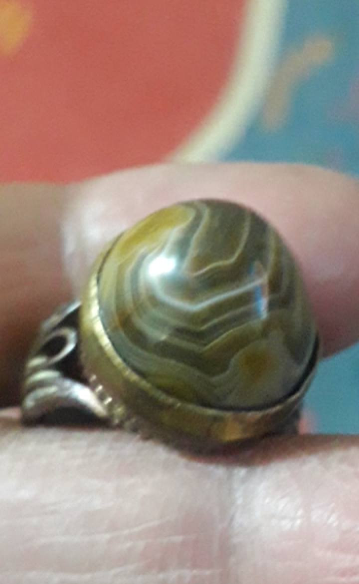 داودي مصورمجزع
المحبس موفضه


**إذا كنت صاحب هذا الإعلان وتريد حذفه لأي سبب، رجاءا أرسل رسالة إلى الدعم الفني**