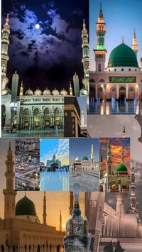 عمرة • باصات VIP • فنادق أربع نجوم