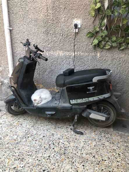 السلام عليكم
شباب دراجة بوليس ام عيون ماركة بغداد شكل الجديد ٦ بطاريات جدد دراجة ماشيه ٣ الاف بعدها زيرو صار شهرين من اشتريتها دراجة خير من الله تخبل سعرها ٦٥٠ بيها مجال عنواني العبيدي شهداء الاولى
رقم ***********
