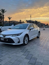 كورلا • ٢٠٢٤ • رقم اربيل