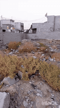 حي الحشد • ٣٠٠م • موقع جيد جداً