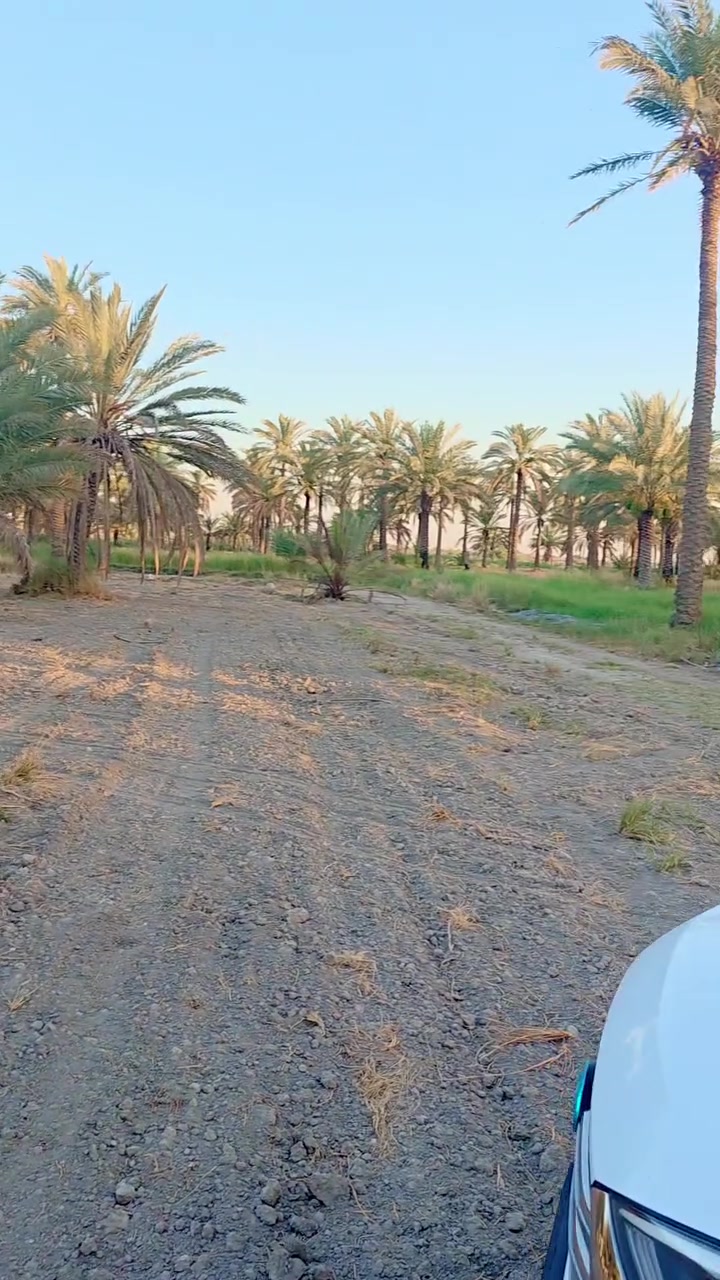 للبيع  ارض موقع مميز
دونمين المساحه 5000متر طابو زراعي سند 25  
متوفره جميع الخدمات السكن  نهر سقي لاينقطع شتاء وصيف كهرباء وماء اساله ومولد ذهبي وكذالك نخيل متعدد الأصناف 
الموقع المحاويل قريه البوعلوان شارع ابوالطياره  قرب جامع البتول 
علما يتععهد البائع ان العقار خارج جميع المحرمات 
للأستفســـــــار الاتصال على الأرقام التأليه 

***********

***********

او زياره مكتب المحامي العقاري علي راجي العلواني الكائن المحاويل مدخل حي 17 قرب فينيسا
