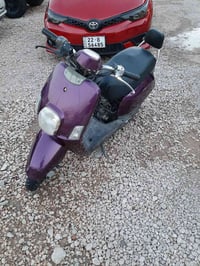 ماكس • بنفسجي/ابيض • لايت زنون