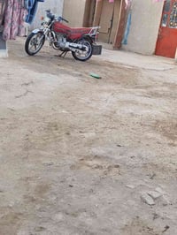 دراجة سيفون • ورق كامل • ٢٠٢٠