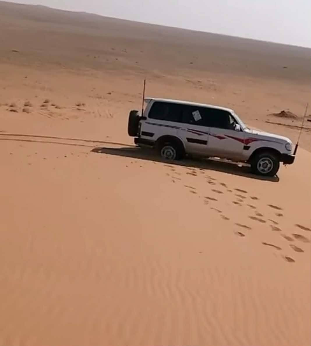 لاندكروز ١٩٩٧ سياره حلوه ونضيفه مكينه كير لو كير شغال اكسلات ٢ شغالات رقم نجف تحويل ثاني يوم سعر راسلني واتساب ***********  واذا اكو مونيكا سلك ١٩٩٩ وفوك اراوس
