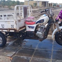 ستوتة 17 • بدي 14 • اوراق اصلي