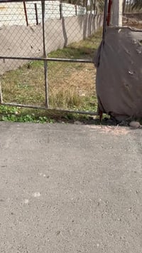 المدائن التويثة • طابو زراعي • ٧٥٠م