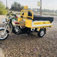 ستوته ٢١ • اوراق كامله • مكفوله محرك