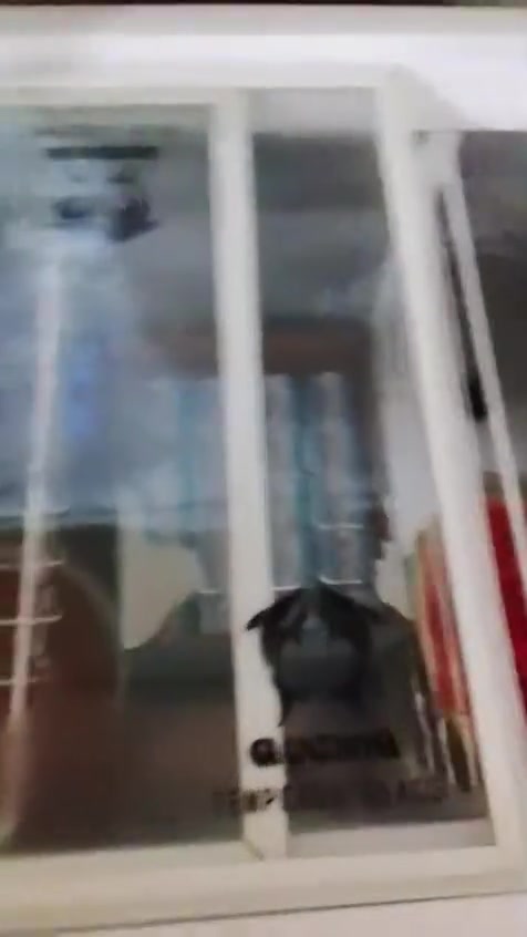 للبيع مجمده جديده شغاله تجميد فول


**إذا كنت صاحب هذا الإعلان وتريد حذفه لأي سبب، رجاءا أرسل رسالة إلى الدعم الفني**