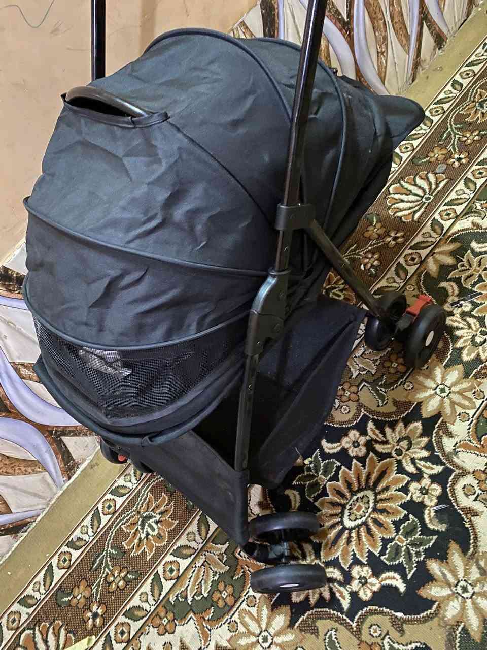 عربانة اطفال بس منام ع اول تم40


**إذا كنت صاحب هذا الإعلان وتريد حذفه لأي سبب، رجاءا أرسل رسالة إلى الدعم الفني**