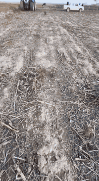 السلام عليكم 
للبيع هيدرو T7070 موديل 2011 فول مواصفات كفالة عامة بعدو كلشي شركة رقم اربيل 
العنوان الحويجة/ ***********
                         ***********
