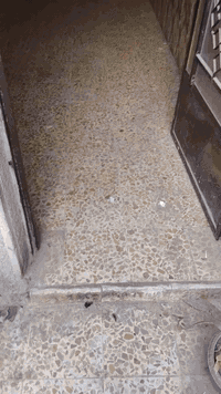 يالله 🤲

مشتمل جديد الايجار 50م
📌تفاصيل // كراج زغير + استقبال + حولي + مطبخ + غرفه نوم.  خدمات.  طابق ثاني غرفتين نوم + خدمات + سطحين
🫥يجار 450 
📌العنوان // شعب مقابل مطعم حجي عادل خلف مصور كنز
ملاحظه. // متوفر بعد ايجارات 
✏️مكتب الامراء✏️
علي ساعدي ***********
عمار ساري ***********
