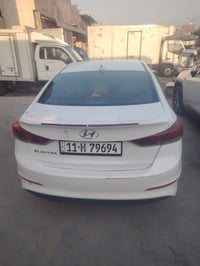 فول • ٢٠١٨ • وارد امريكي