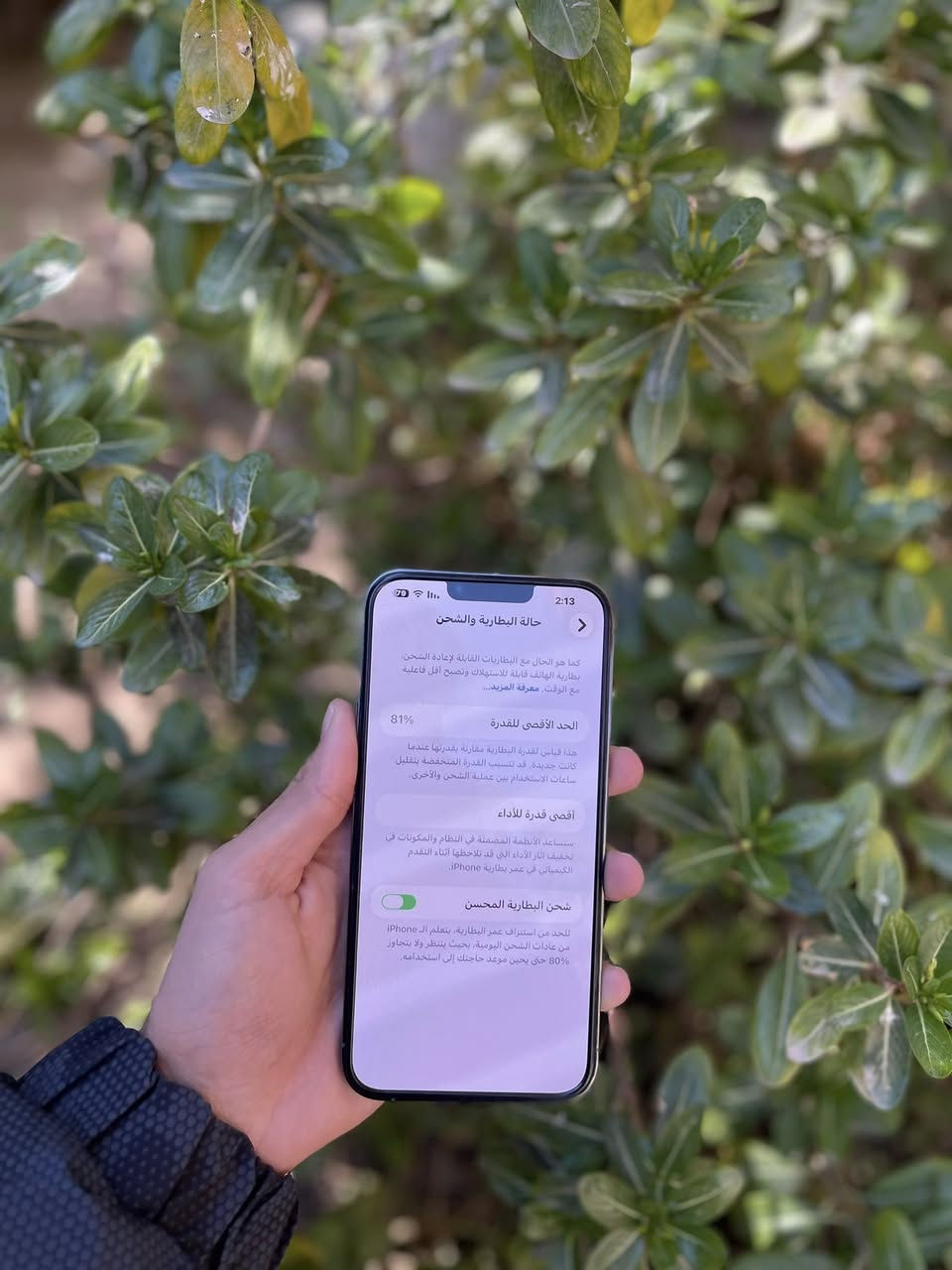 السلام عليكم ايفون 13 برو ماكس بحري ذاكره 256 بطاريه 81 بلادي مامفتوح ضمان بي نضيف نضافه كدامك مال بيت ويا شاحنته الاصليه شراي راسلني عنواني بعقوبه


**إذا كنت صاحب هذا الإعلان وتريد حذفه لأي سبب، رجاءا أرسل رسالة إلى الدعم الفني**