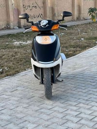 سبيسي ياباني • نضافة 99٪ • كوت زين القوس