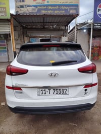 توسان • ٢٠١٩ • فول الفول