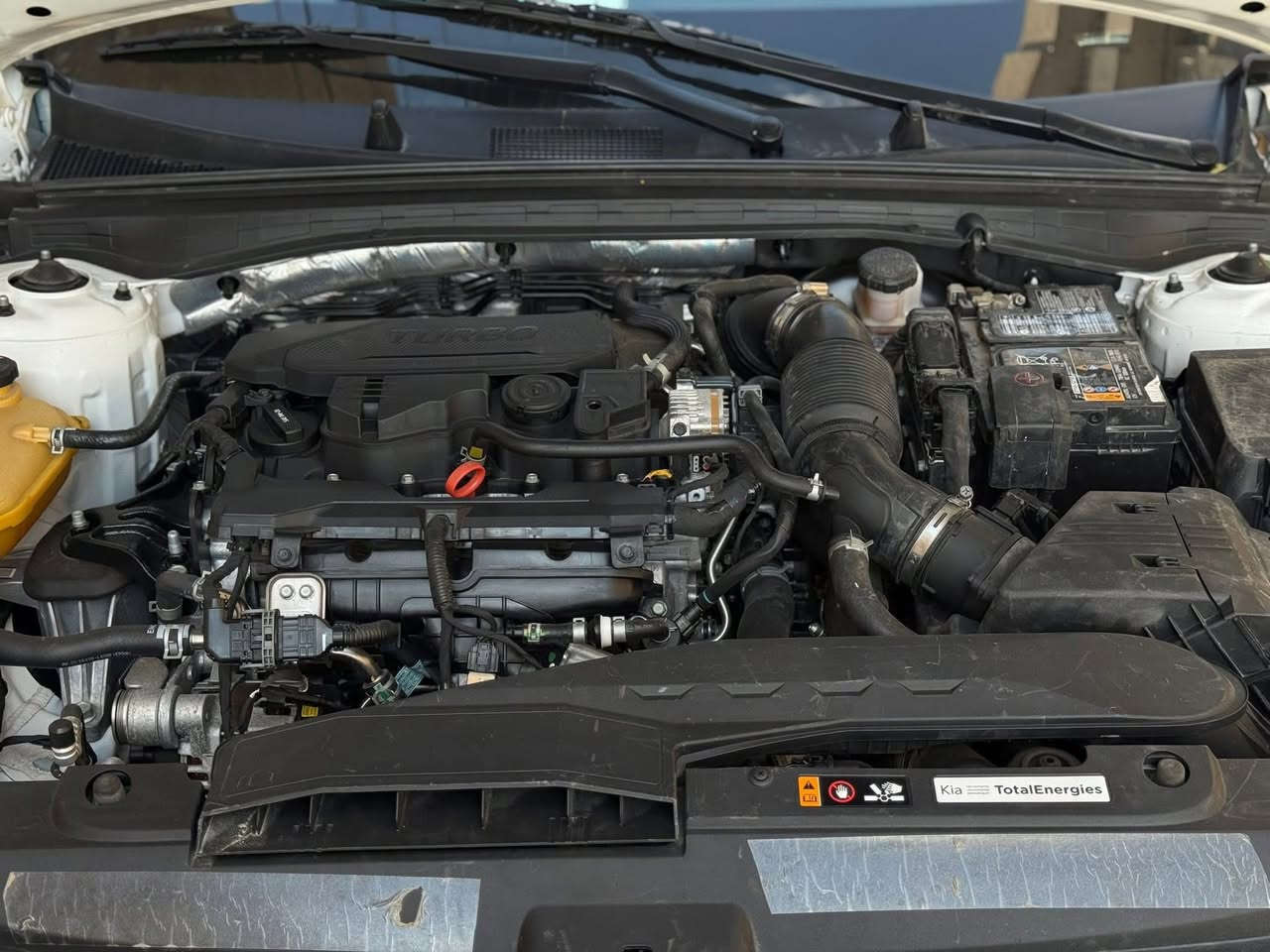 K5 2021 ابيض
كي فايف 21  محرك 1600 تيزبو. سياره نضيفه.  نص فول  
تبريد مكينه مكفولات حداديه. معوقين بغداد. رقمها بنيه معوقه بسمها

الحادث بنيد مقدمه وصندوك   
وكاله عامه مكاني البصره ***********
