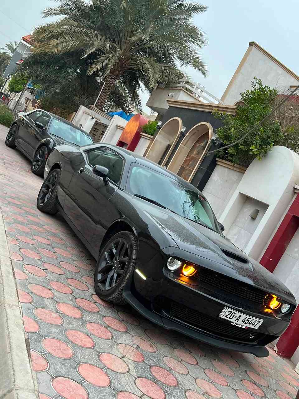 جالنجر sxt  ٢٠٢٣ رقم ديالى محدثة GT
تبديل بنيد فقط وجاملغات الاماميه بيهن بارد بدون صبغ
ماشيه ٣٦ الف 
مستوردها على اي ي صالها سنة ونص يمي
صور الضرر مرفقة بالمنشور
سياره جديدة كلش مابيها نقص اي شي
كشن كهرباء وتدفئة بي
مرايات جانبية هيتر 
دكمة سبورت 
دشبول تطريز
دهن كله وكاله من الحسام قبل يومين بدلته وتايرات جديدة ودسكات جديدة 
تاخذها متصرف عليها ربع نقصها بس دعاميه الامامية شويه الصبغ مكشر 
مكانها ديالى بعقوبه 
***********
