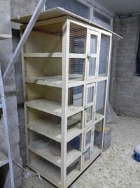 قفص • عدد ٢