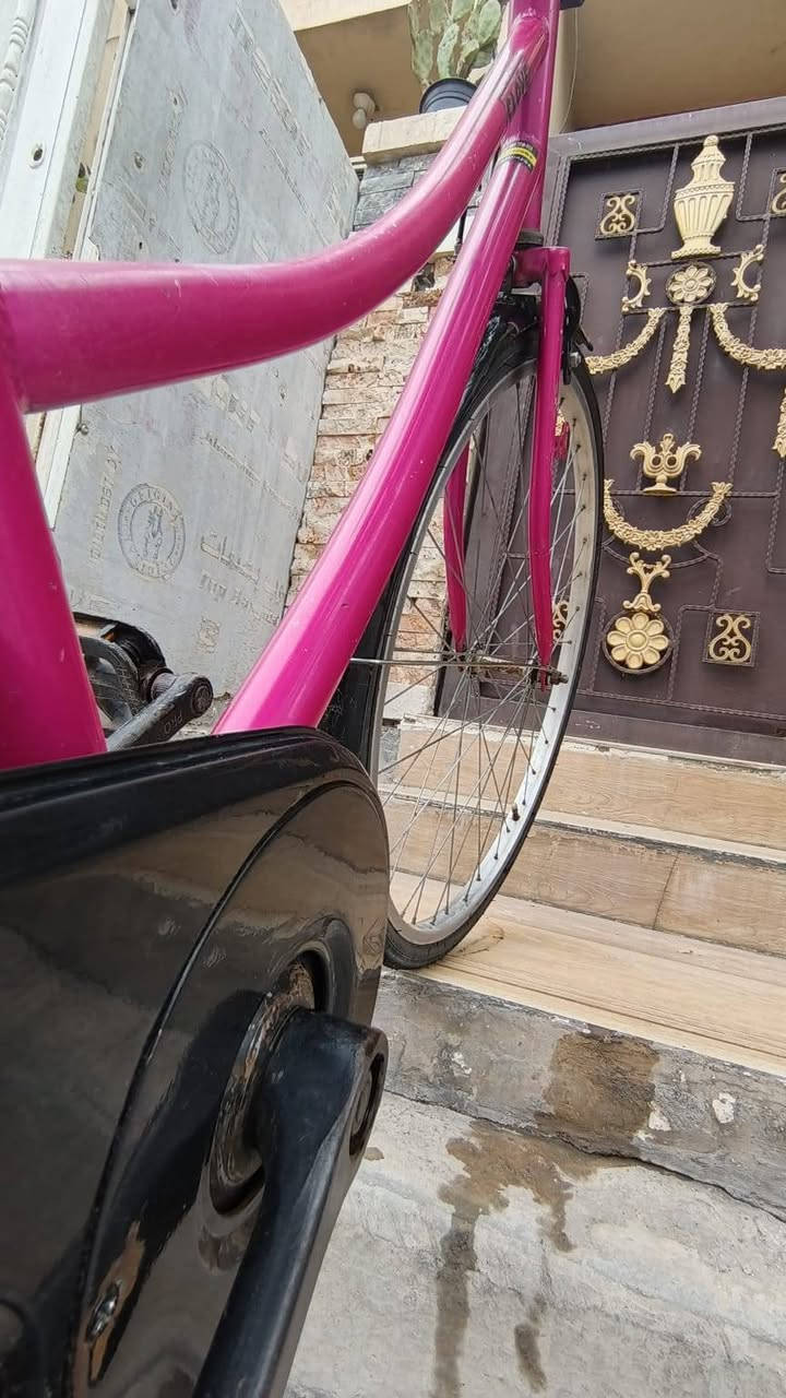 السلام عليكم باسكل للبيع حجم26نظيف   حي الجهاد شارع الشارقة والتواصل على هذا الرقم *********** السعر 95وبي مجال❤
