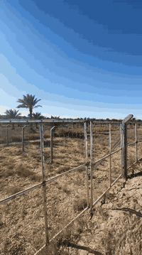 دونم للبيع الوجي ٣٥ متر سندطابوزراعي ملك صرف باسم البائع يحتوي على كافة الخدمات
عرض الشارع ١٢ متر
#السعر ١٨٥
#العنوان  شارع100
شارع الرابط بزل حجي علي خلف مدرسة الطفوف 
أوزياره مكتب عقارات مصطفى السلامي
***********
