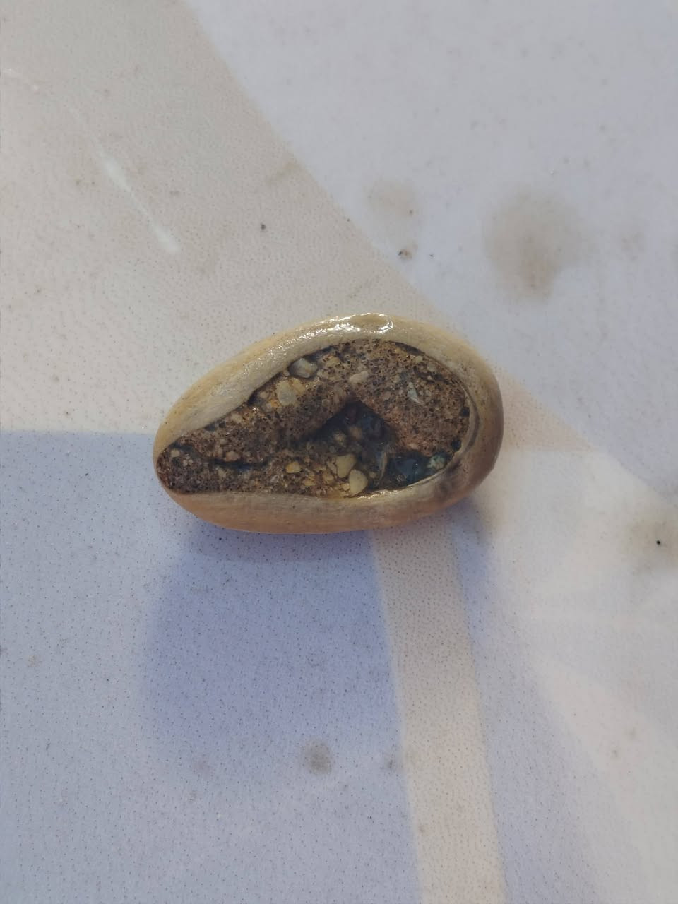 عطف بري ملاكط صحراء الانبار للبيع 25مع توصيل


**إذا كنت صاحب هذا الإعلان وتريد حذفه لأي سبب، رجاءا أرسل رسالة إلى الدعم الفني**