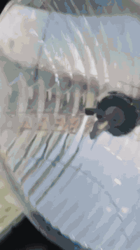 يالله السلام عليكم ورحمة الله وبركاته
بوكسر 23 طالعه بل 25 رقم وهزة جديد تحويل ثاني يوم 

دراجة جديده مابيهه نقص محرك مكفول 

ديالى بعقوبة التحرير مقابل فوج ال 7 طرق بهرز 

***********
