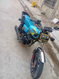 سونك • ٢٠٢٤ • اوراق