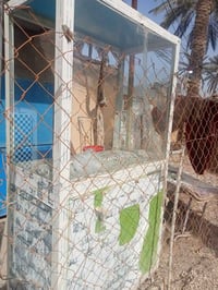 مرتبه • نضيفه • شارع 80