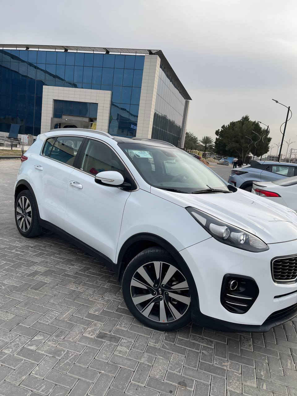 السلام عليكم ورحمه الله
💢 كيا سبورتج موديل2016 شكل 18 .

 .باسمي تحويل مباشر 

🔹الموصفات . 

     خليجي.  شركة دولية

بصمة.     بنورامااا 

🔹حساس امامي  خلفي 

🔹كامره خلفيه 

🔹️ حساسات ٣٦٠ 

🔹️ امراية شفط

🔹️امراية وسطية اتو دم  

🔹️ بك لايت لد 

🔹️مكينة 2000 دوش

🔹️بصمة أبواب 

🔹️ترحيب 

🔹️رادرات 

🔹️قطعتين تبريد 

🔹️بجم (لايت) لدد نهاري

🔹️تحكمات ستيرن جهتين 

🔹️ويل كب

🔹️مانع انزلاق 

  ... ماشية 197 الف 

السعرر 157 $ وبيهاا مجالل 

💢 السياره بيهه صبغ فقط بنيد بدونن دواخل 💢  

العنوان كربلاء سيف سعد 

***********
