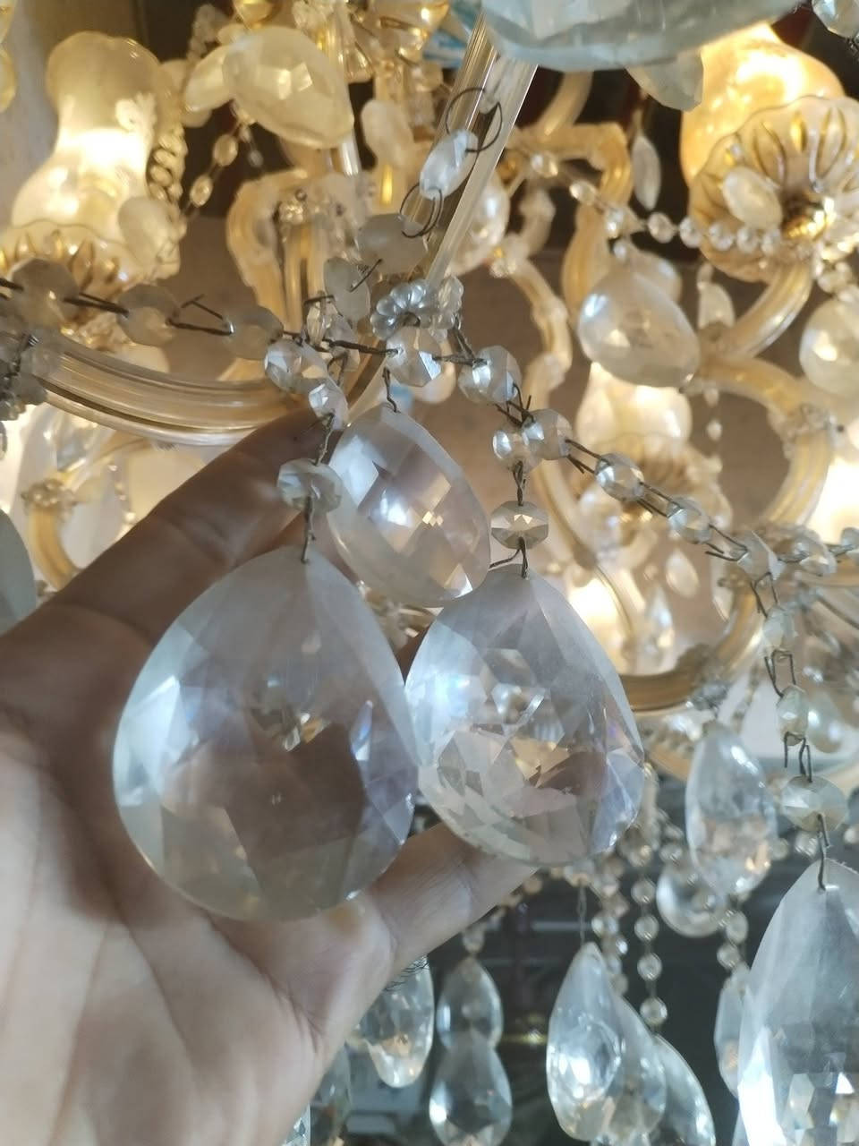 العنده خبر بيهن واسعارهن ياريت ينورني


**إذا كنت صاحب هذا الإعلان وتريد حذفه لأي سبب، رجاءا أرسل رسالة إلى الدعم الفني**