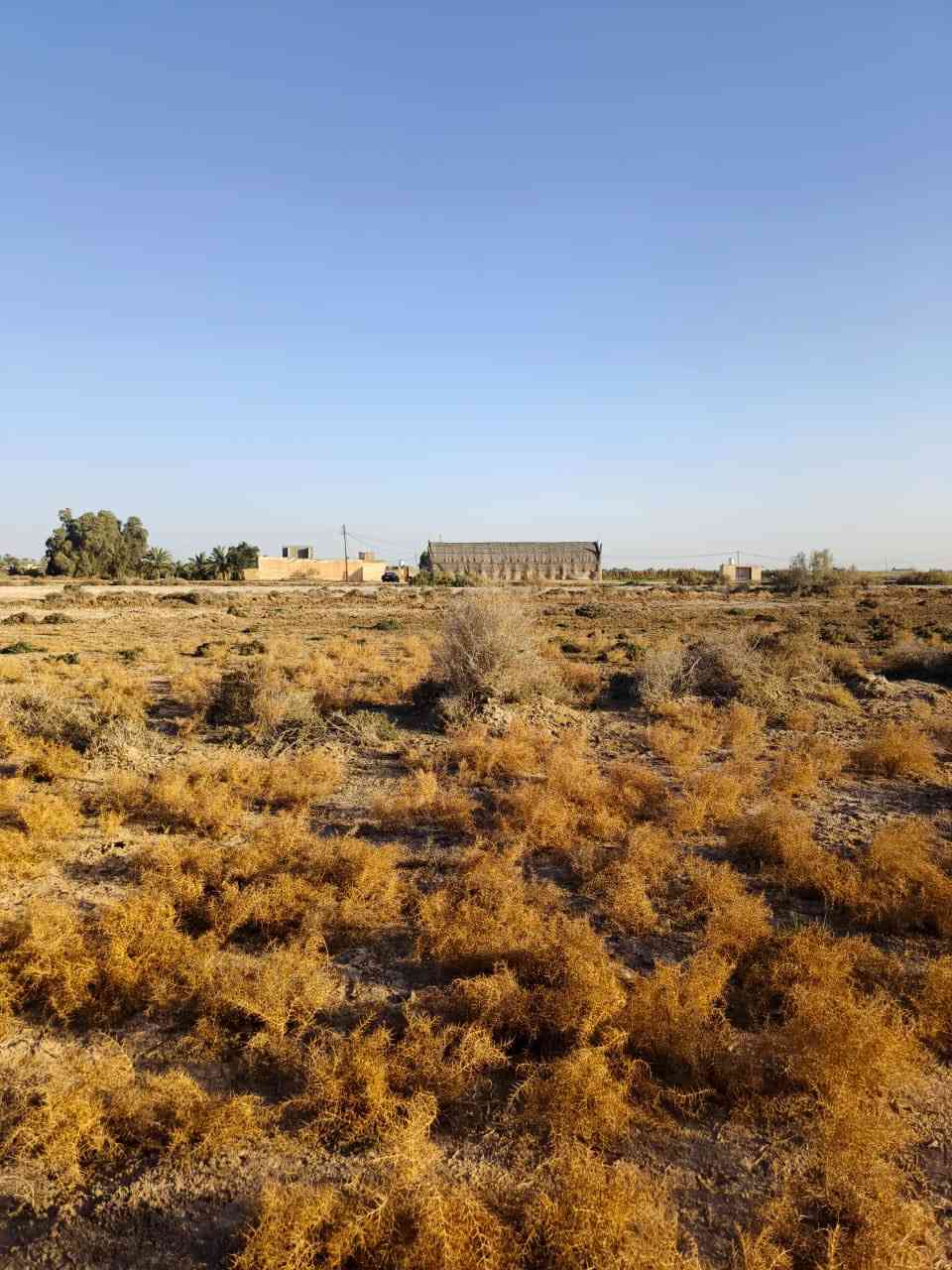 قطعه ارض زراعيه للبيع ٢٠٠ متر ب٦ وبيها مجال
المكان قضاء الغراف قريه السعيد قرب سيد صبر مجاور شيخ سعدون الشمس والشيخ نعيثل الشمس بعد عن شارع تبليط نص كيلو تقريبا والاستفسار مراسله الصفحه


**إذا كنت صاحب هذا الإعلان وتريد حذفه لأي سبب، رجاءا أرسل رسالة إلى الدعم الفني**