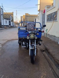 ستوته • ٢٠١٤ • شاصي مكفول